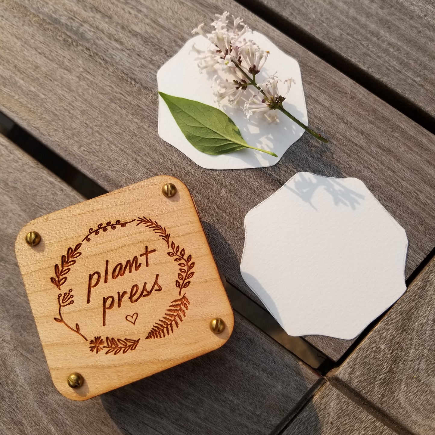 Plant Press Kit