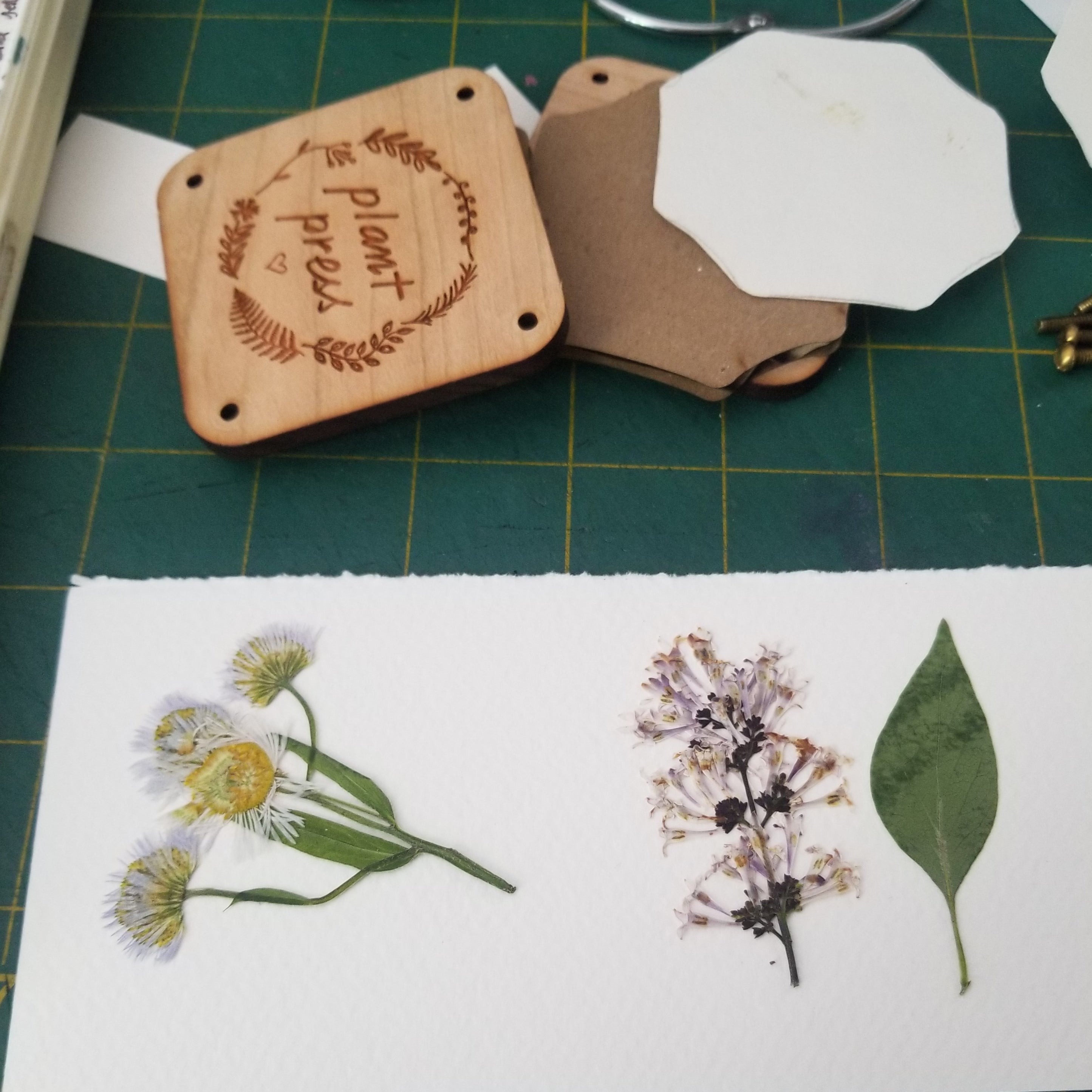 Plant Press Kit Katrinkles retail